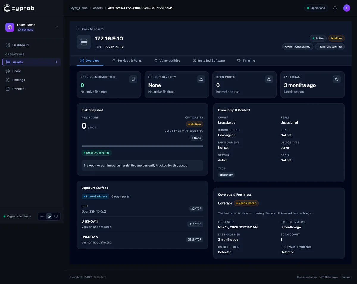 Asset detail view: every value shown in the console is readable over the API