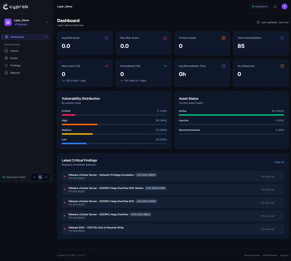 Cyprob dashboard showing assets, scans and findings on one screen